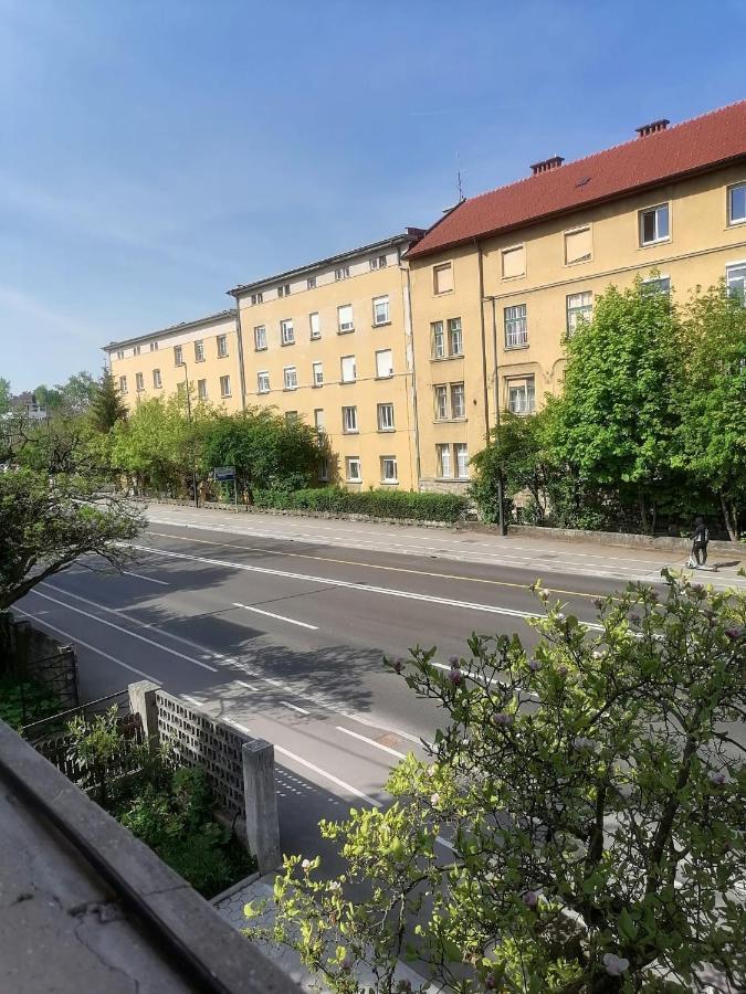 Pirc Apartment On Dunajska Street Любляна Екстер'єр фото