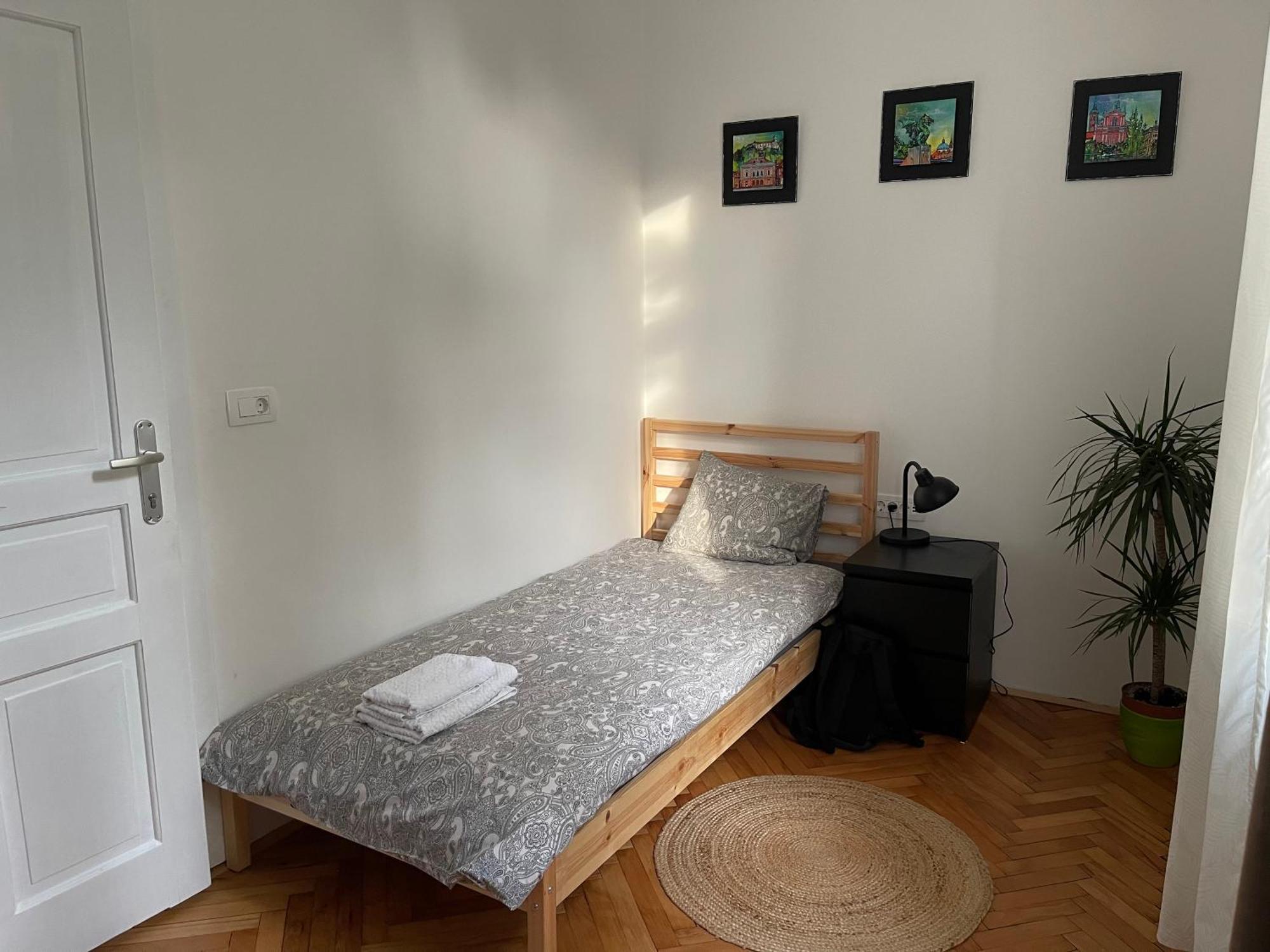 Pirc Apartment On Dunajska Street Любляна Екстер'єр фото