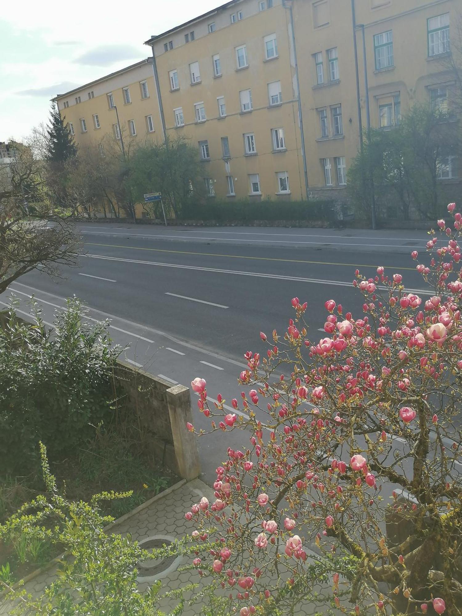 Pirc Apartment On Dunajska Street Любляна Екстер'єр фото